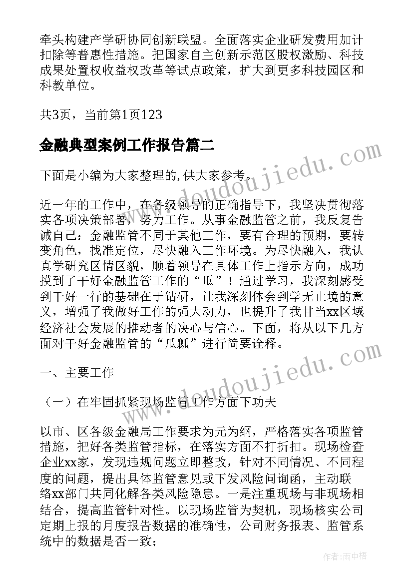 2023年金融典型案例工作报告(精选5篇)