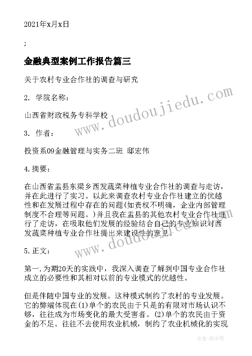 2023年金融典型案例工作报告(精选5篇)