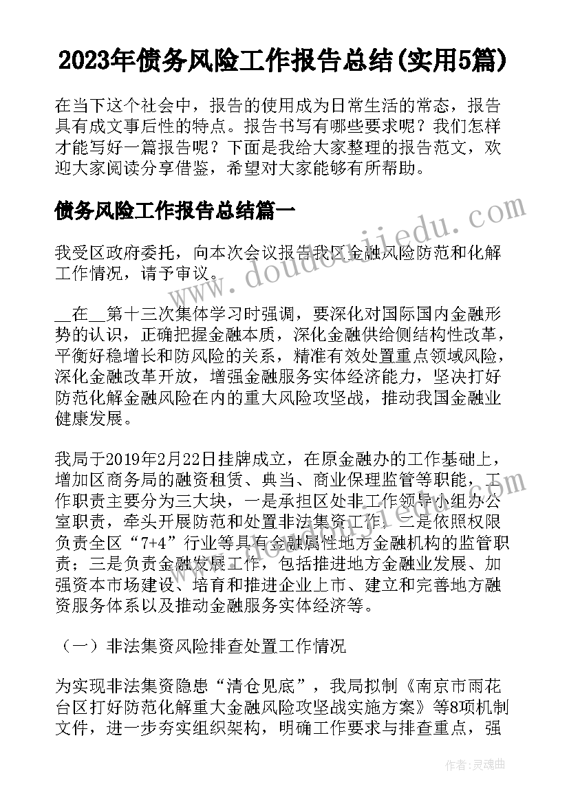 2023年债务风险工作报告总结(实用5篇)