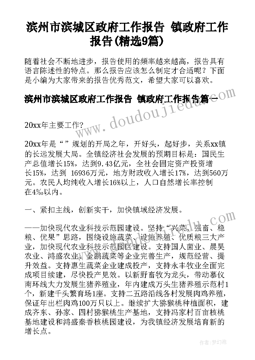 滨州市滨城区政府工作报告 镇政府工作报告(精选9篇)