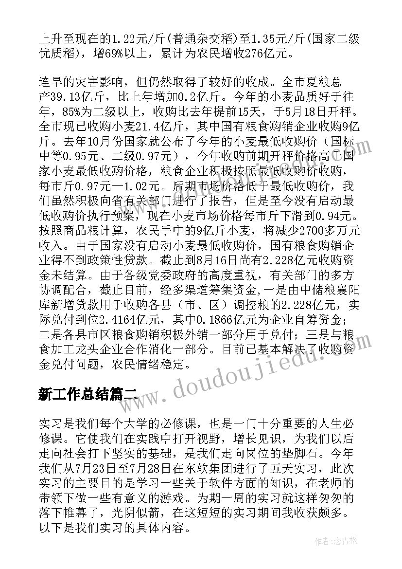 2023年新工作总结(大全6篇)