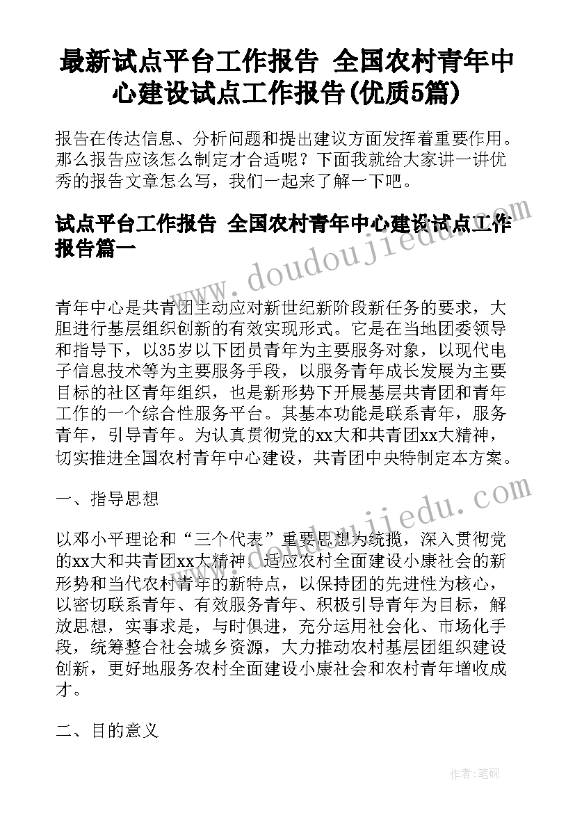 最新试点平台工作报告 全国农村青年中心建设试点工作报告(优质5篇)