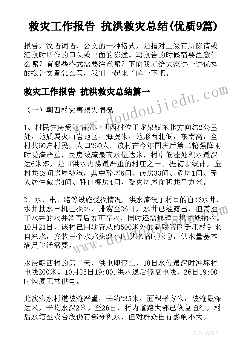 救灾工作报告 抗洪救灾总结(优质9篇)