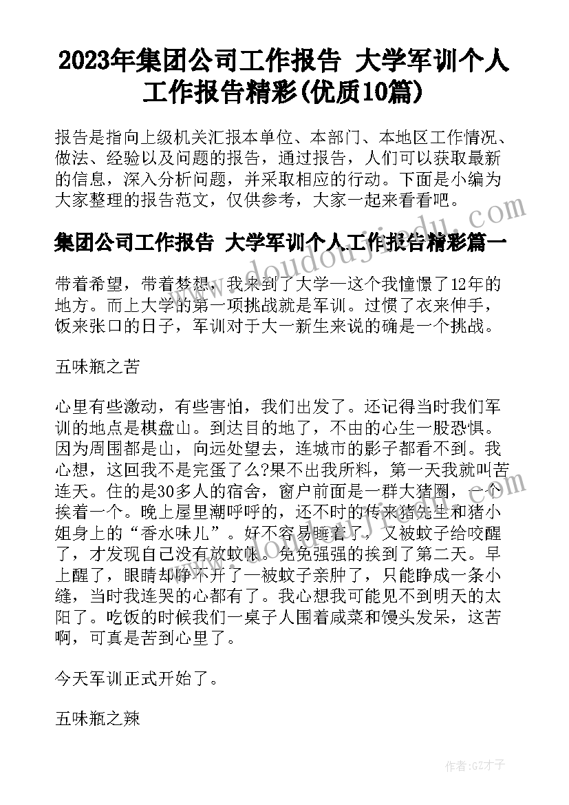 2023年集团公司工作报告 大学军训个人工作报告精彩(优质10篇)