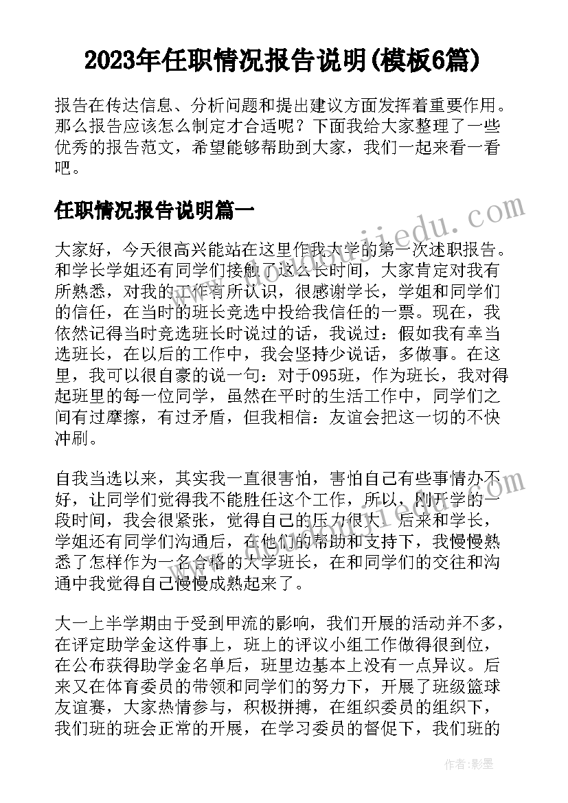 2023年任职情况报告说明(模板6篇)