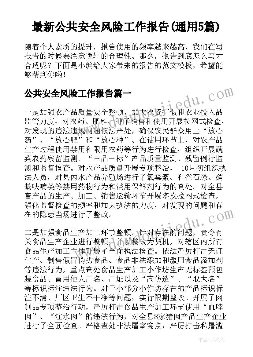 最新公共安全风险工作报告(通用5篇)