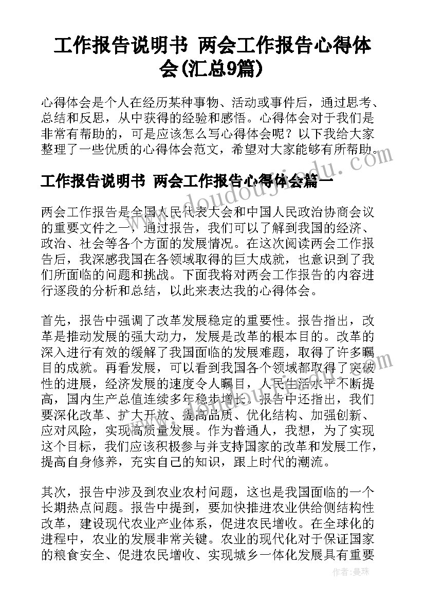 工作报告说明书 两会工作报告心得体会(汇总9篇)