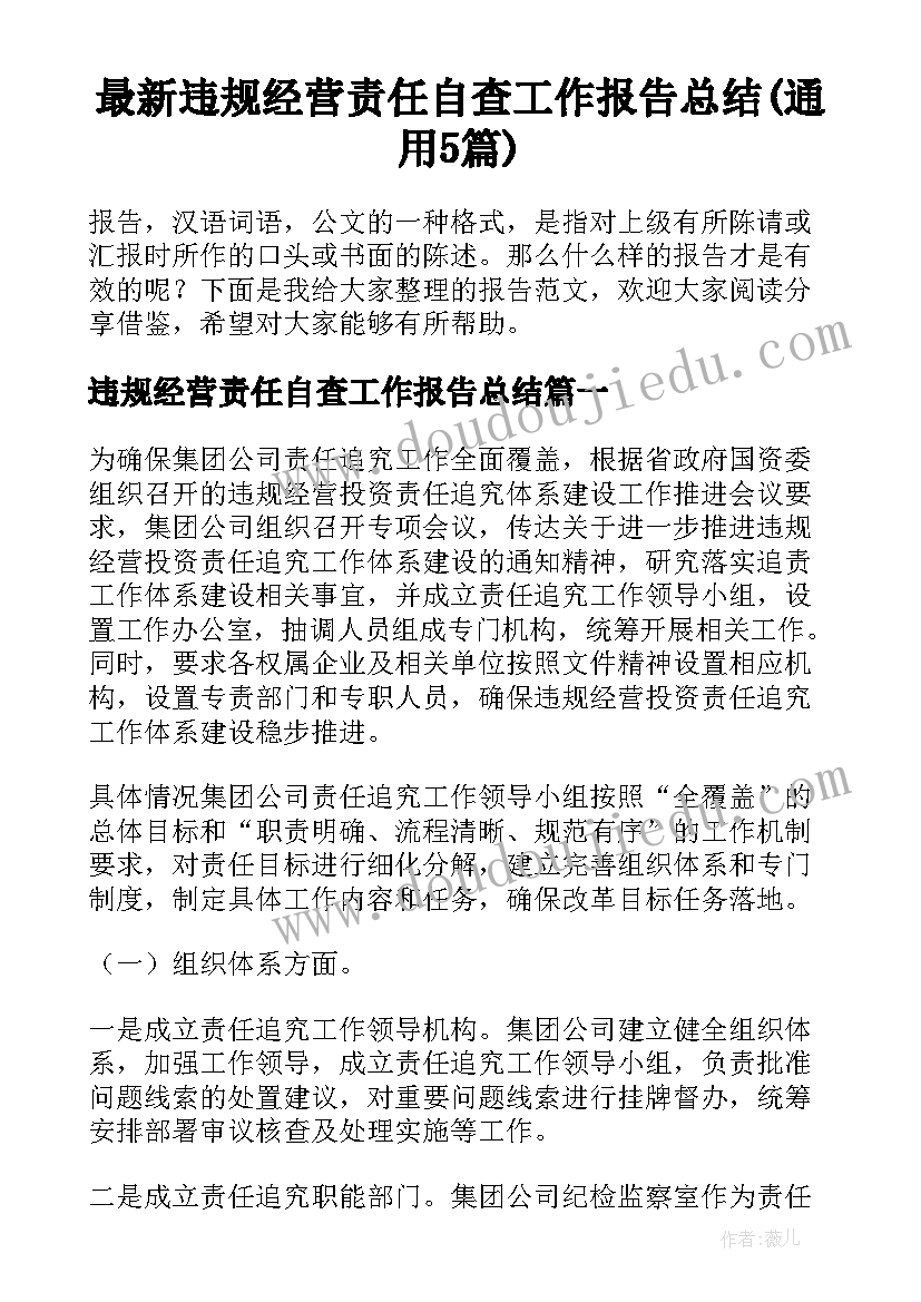 最新违规经营责任自查工作报告总结(通用5篇)