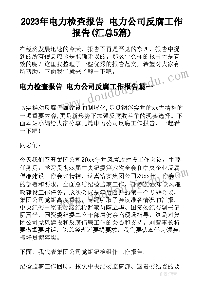 2023年电力检查报告 电力公司反腐工作报告(汇总5篇)