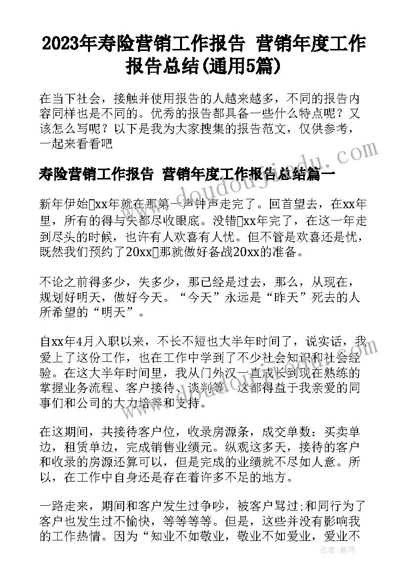 2023年寿险营销工作报告 营销年度工作报告总结(通用5篇)