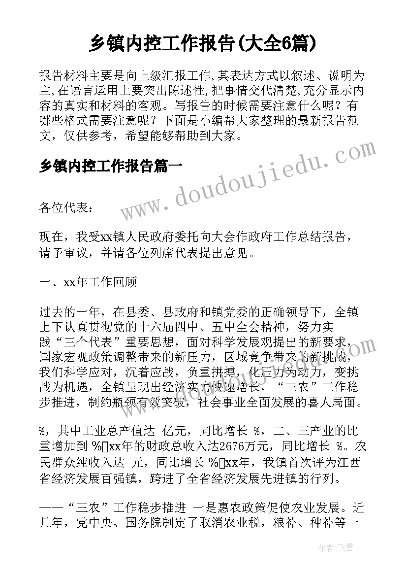 乡镇内控工作报告(大全6篇)