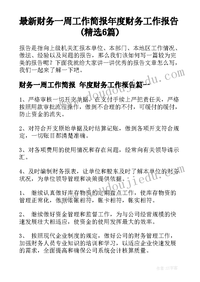 最新财务一周工作简报 年度财务工作报告(精选6篇)