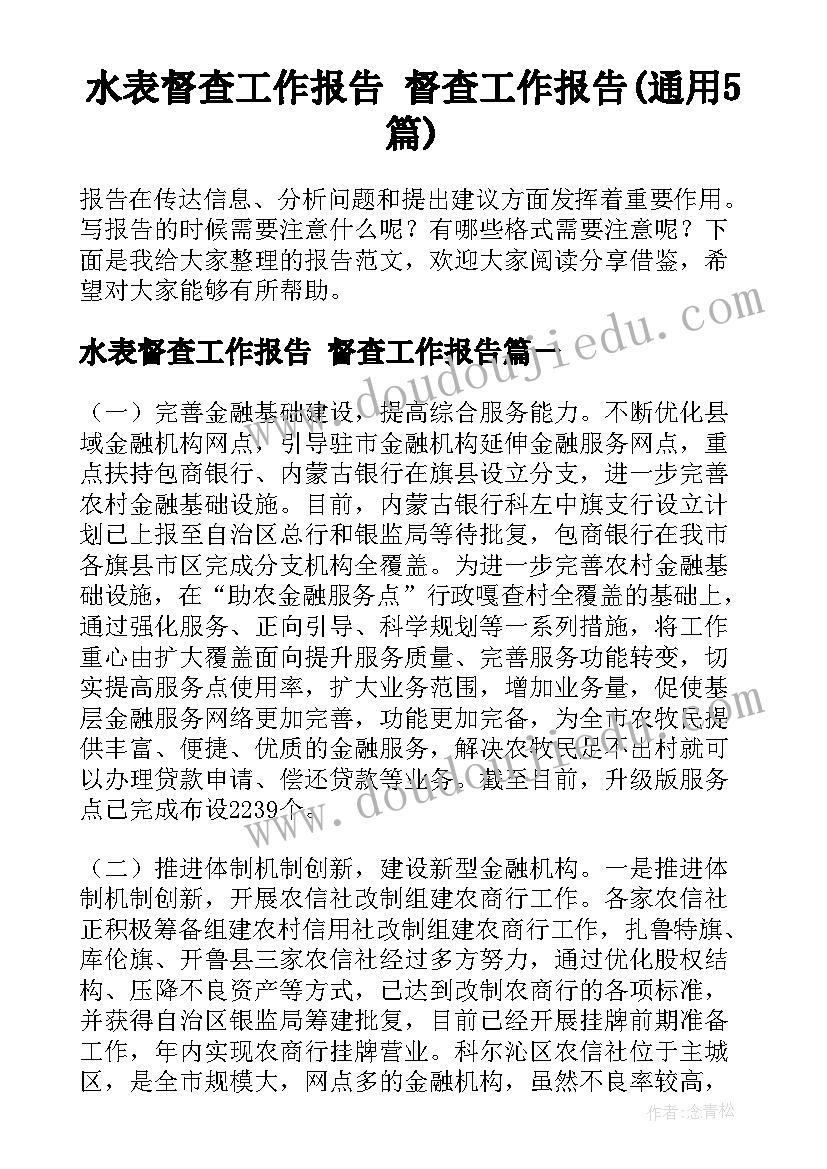 水表督查工作报告 督查工作报告(通用5篇)