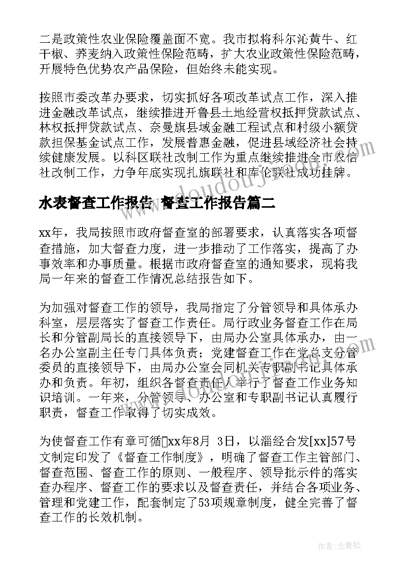 水表督查工作报告 督查工作报告(通用5篇)