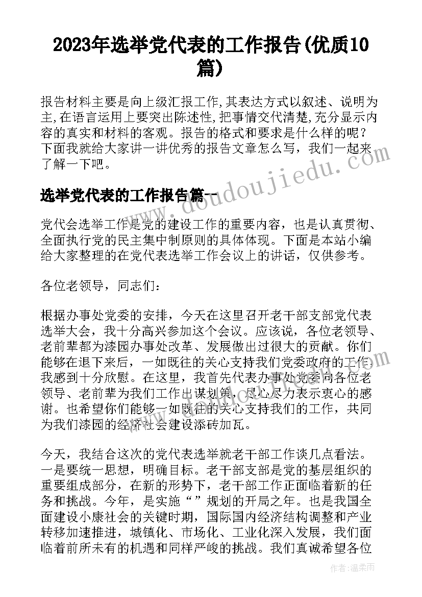 2023年选举党代表的工作报告(优质10篇)