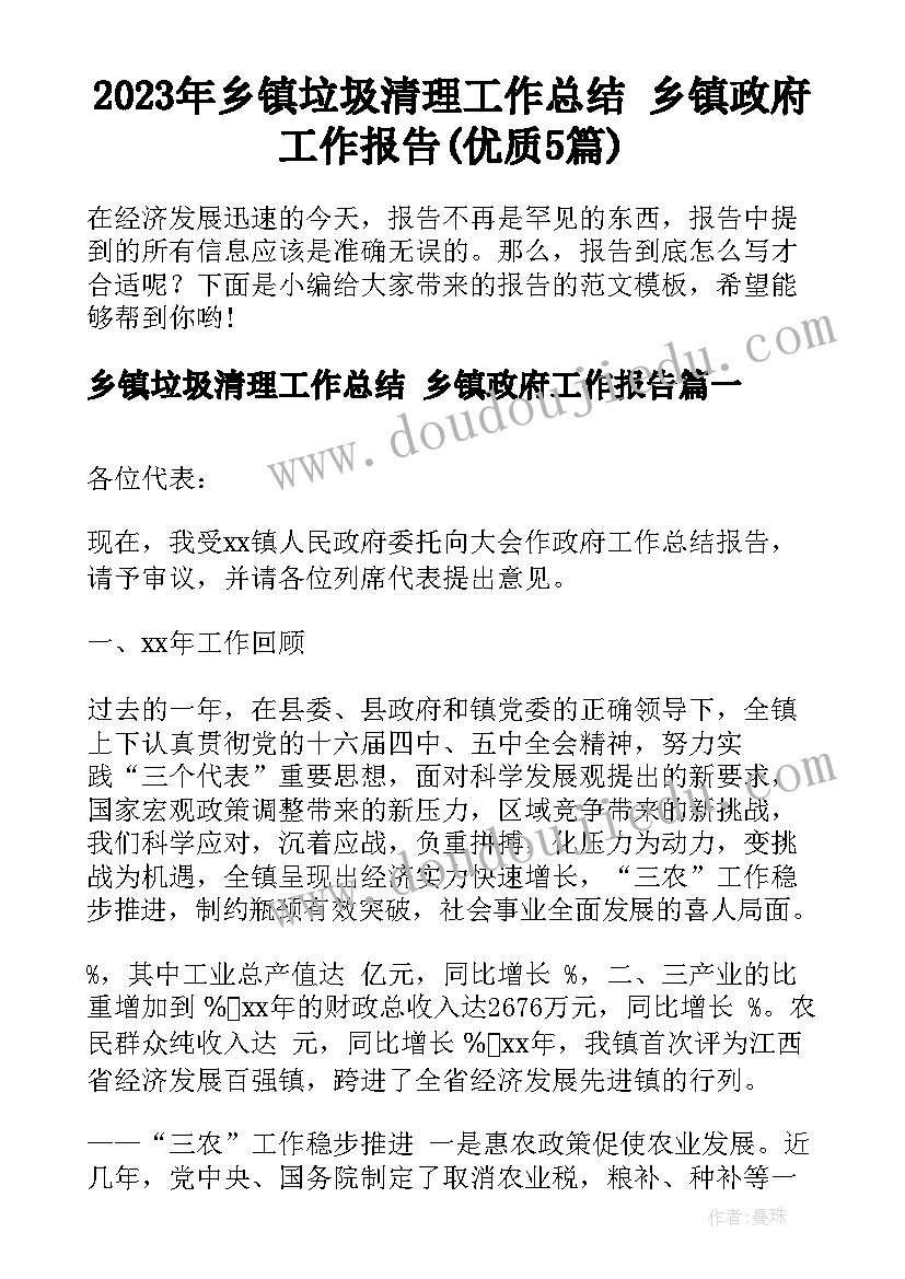 2023年乡镇垃圾清理工作总结 乡镇政府工作报告(优质5篇)