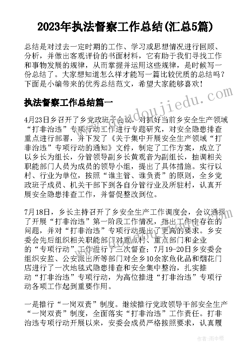 2023年执法督察工作总结(汇总5篇)