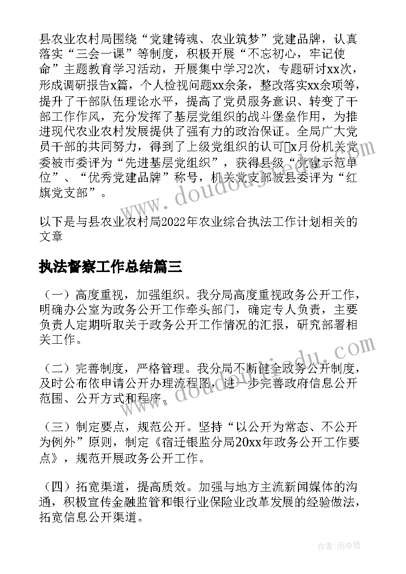 2023年执法督察工作总结(汇总5篇)