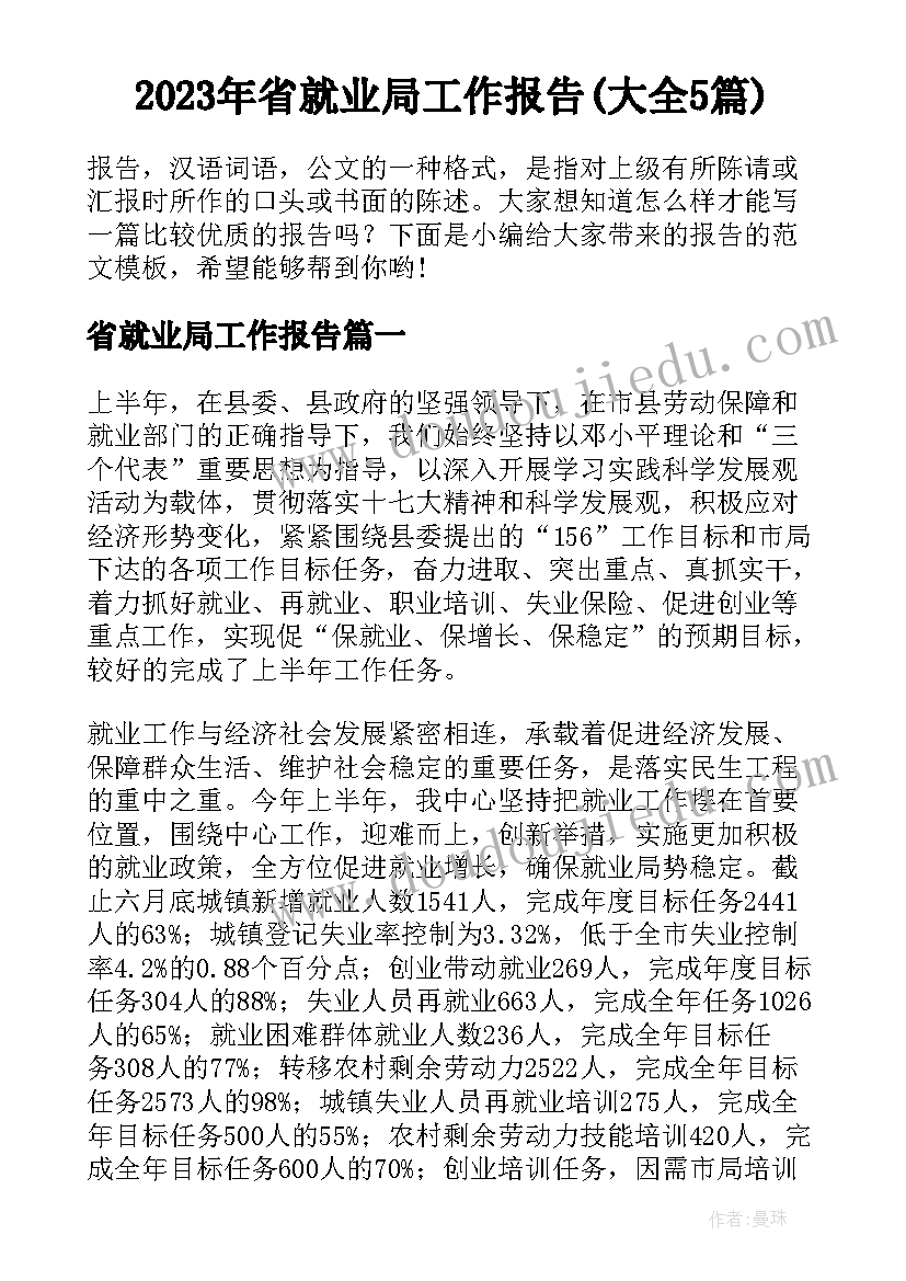 2023年省就业局工作报告(大全5篇)