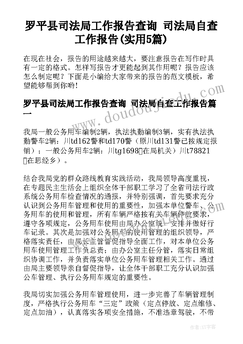 罗平县司法局工作报告查询 司法局自查工作报告(实用5篇)