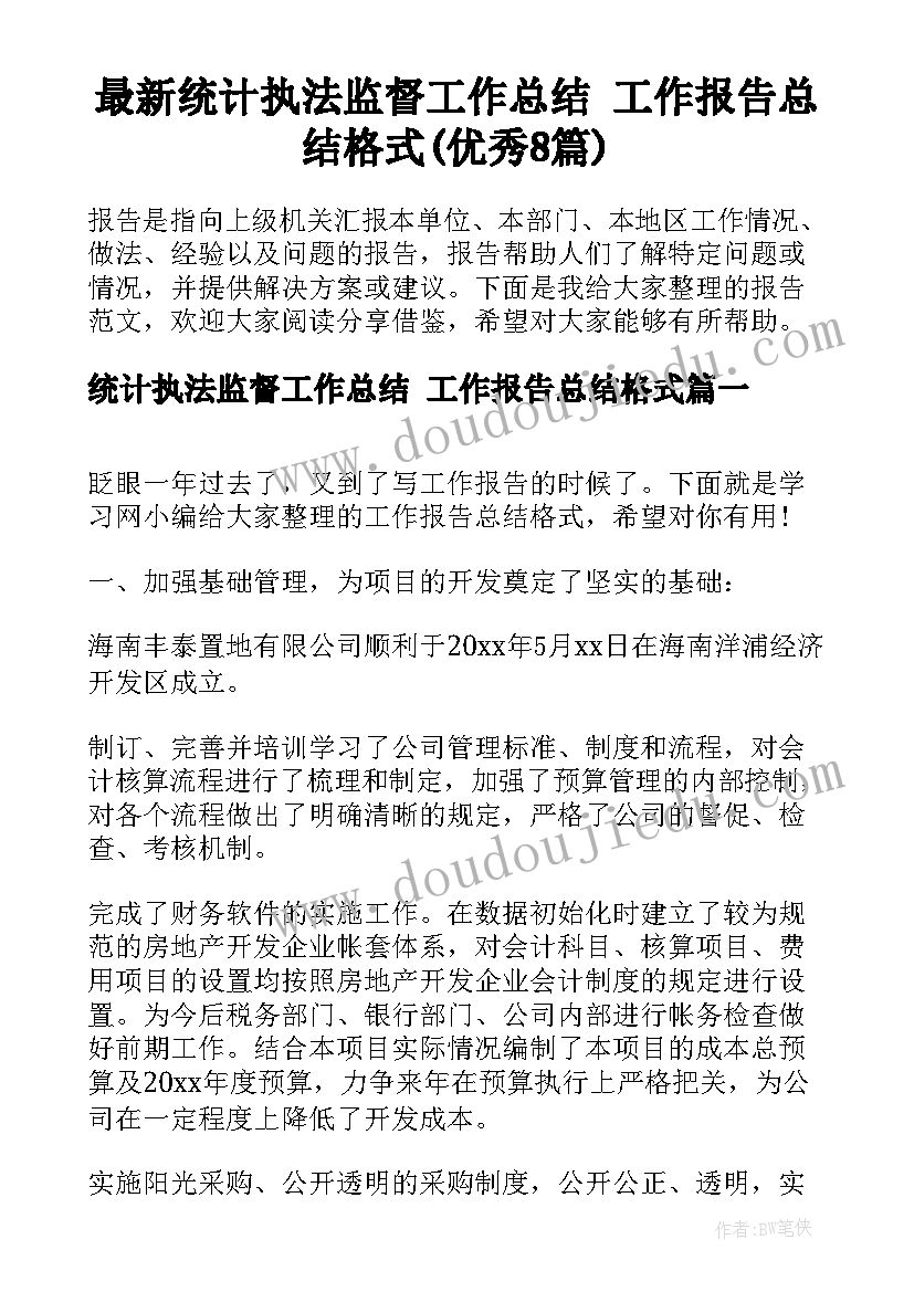 最新统计执法监督工作总结 工作报告总结格式(优秀8篇)