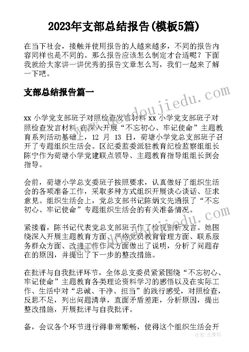 2023年支部总结报告(模板5篇)