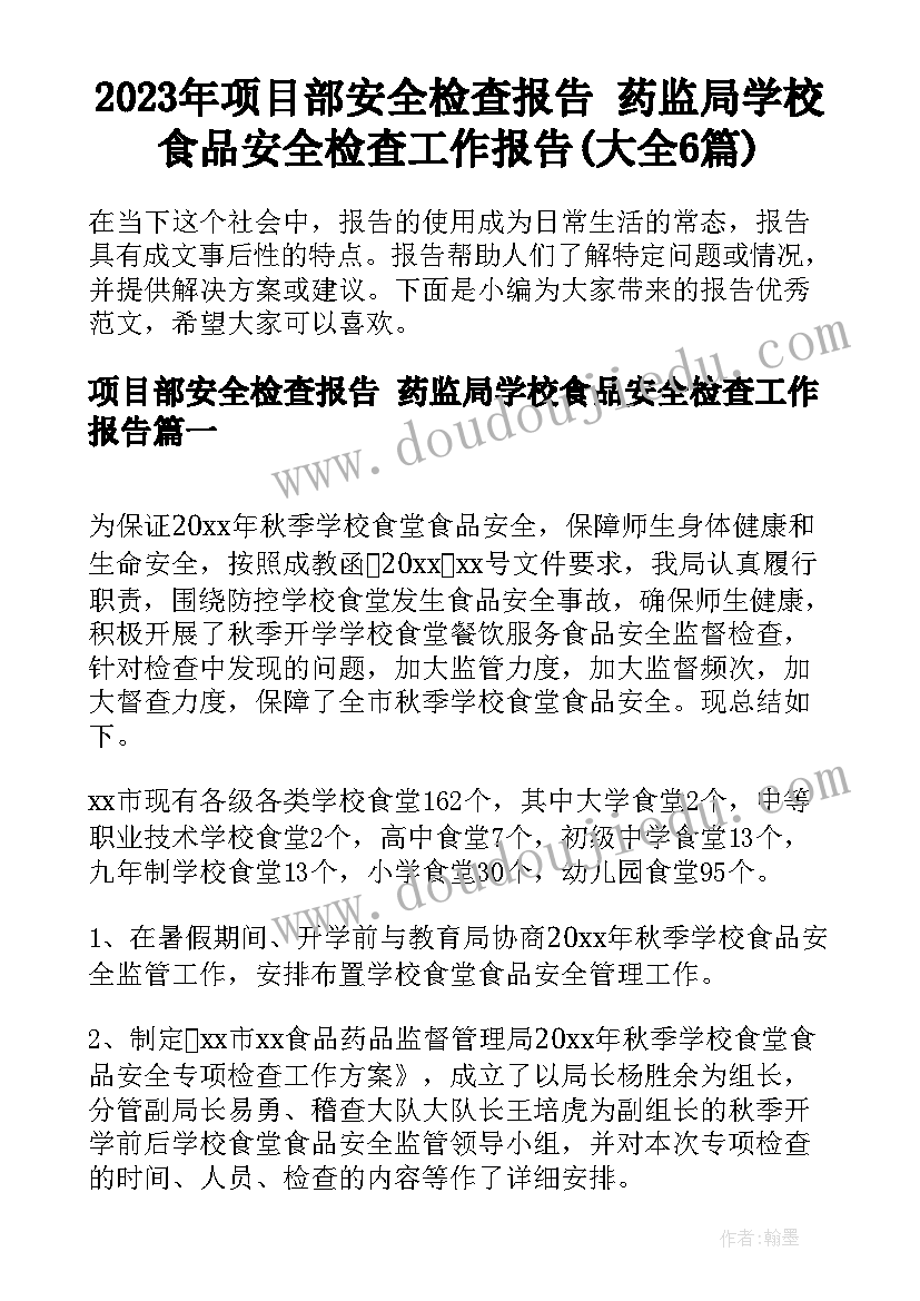 2023年项目部安全检查报告 药监局学校食品安全检查工作报告(大全6篇)