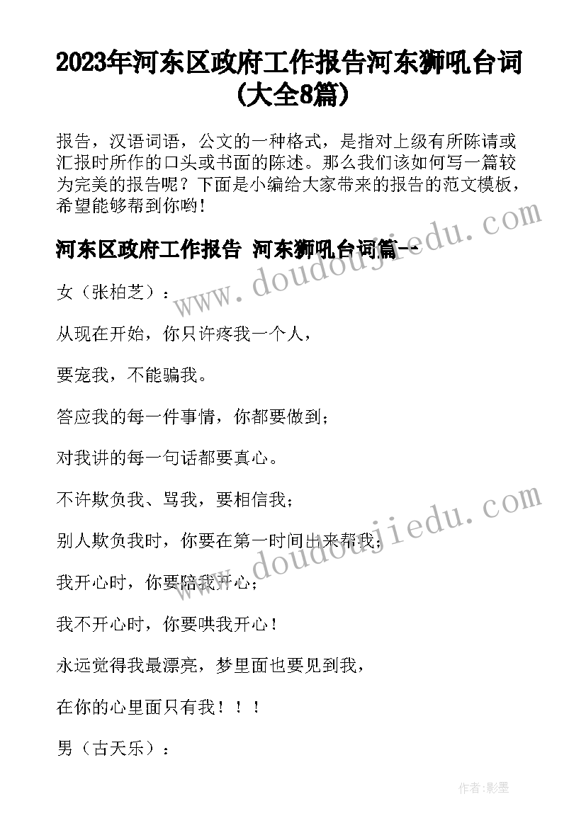 2023年河东区政府工作报告 河东狮吼台词(大全8篇)