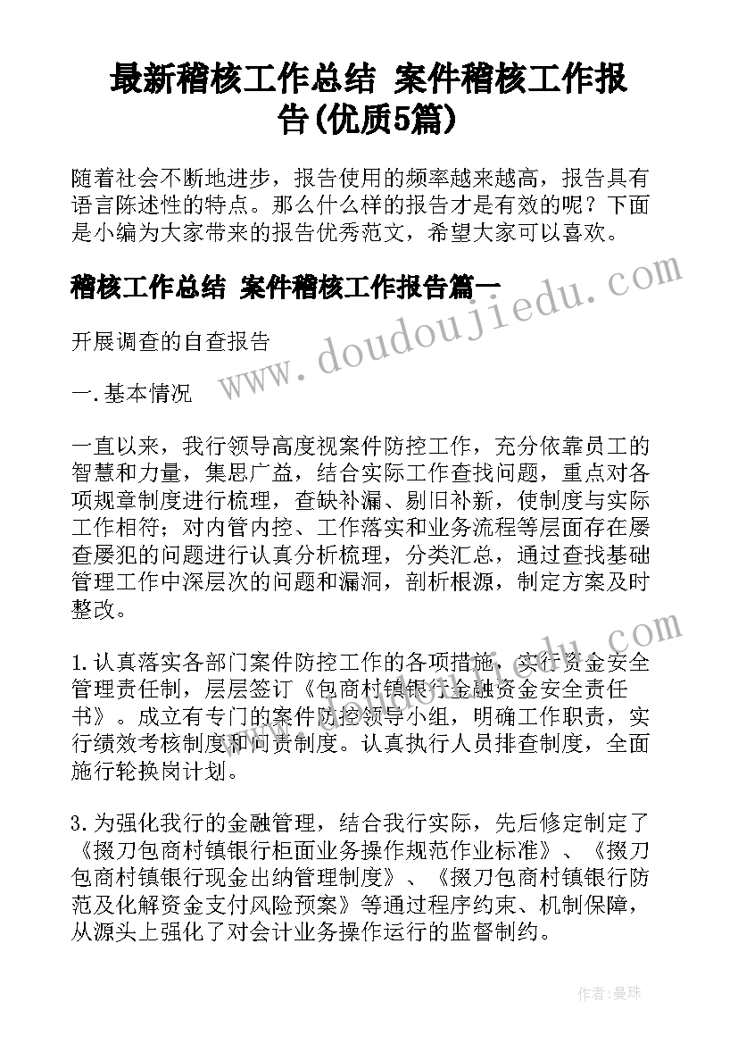 最新稽核工作总结 案件稽核工作报告(优质5篇)