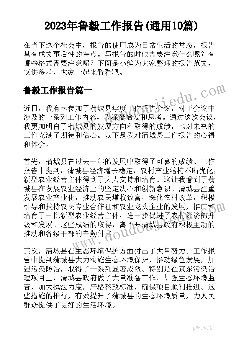 2023年鲁毅工作报告(通用10篇)