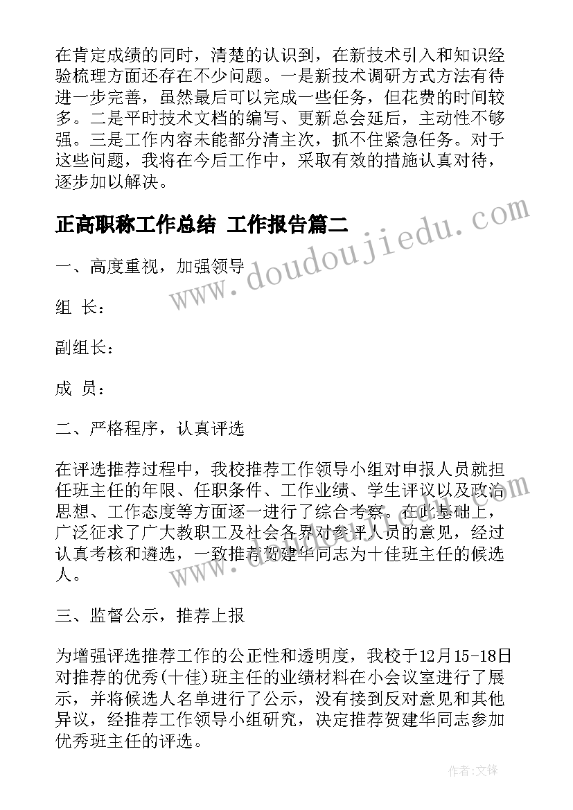 2023年正高职称工作总结(精选7篇)