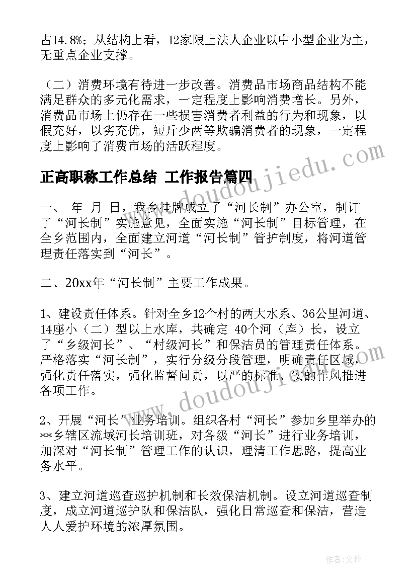 2023年正高职称工作总结(精选7篇)