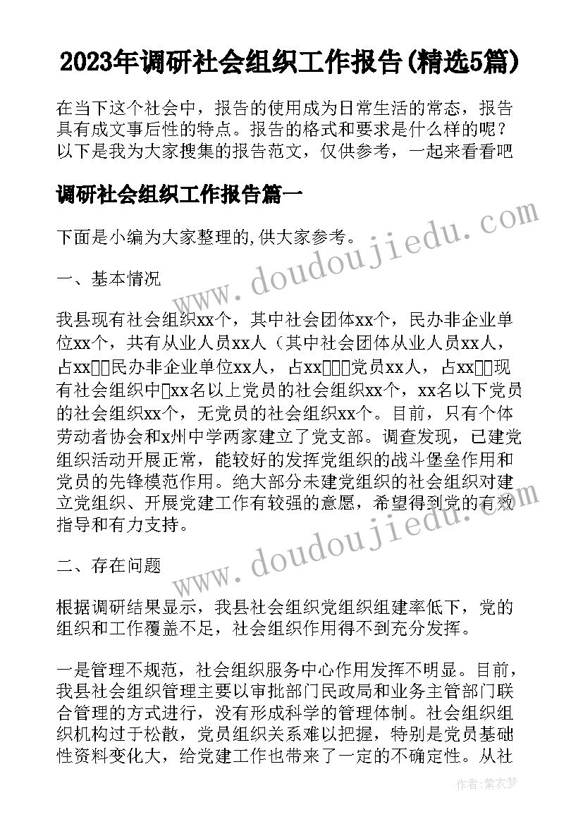 2023年调研社会组织工作报告(精选5篇)