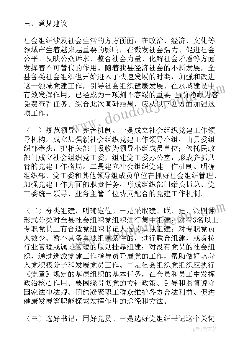 2023年调研社会组织工作报告(精选5篇)