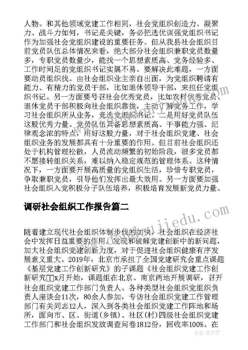 2023年调研社会组织工作报告(精选5篇)