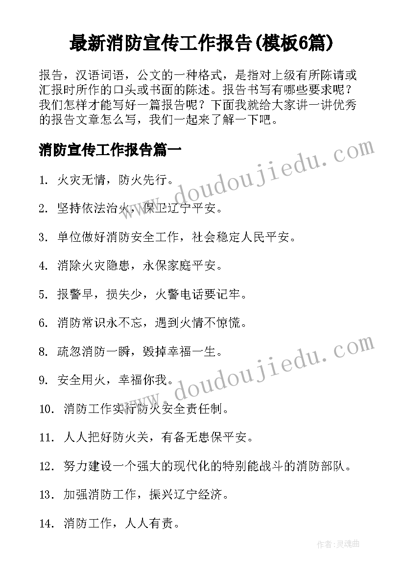 最新消防宣传工作报告(模板6篇)