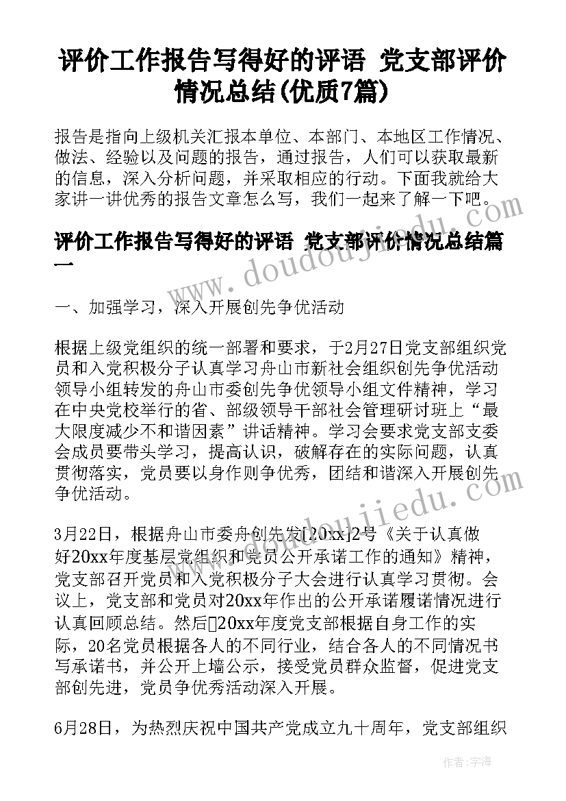 评价工作报告写得好的评语 党支部评价情况总结(优质7篇)