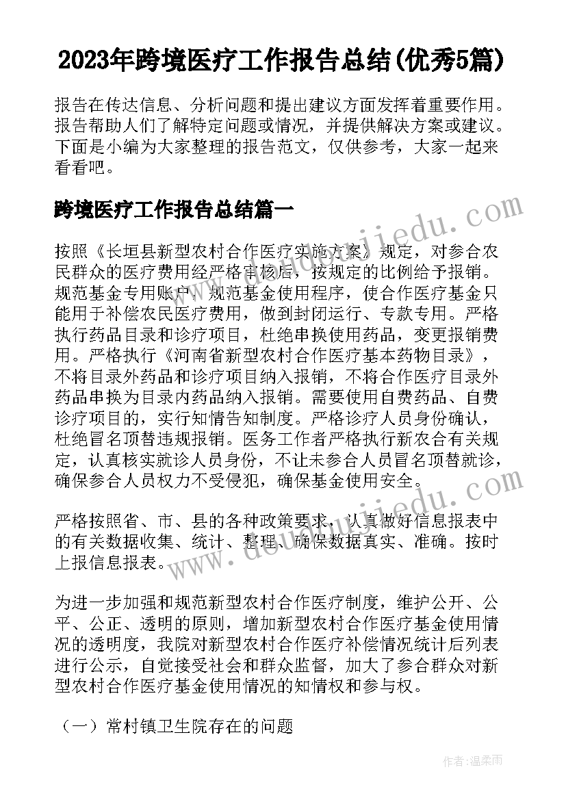 2023年跨境医疗工作报告总结(优秀5篇)