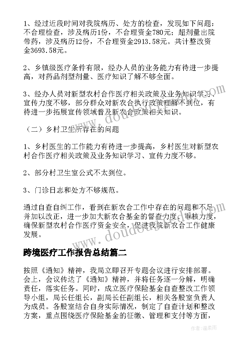 2023年跨境医疗工作报告总结(优秀5篇)