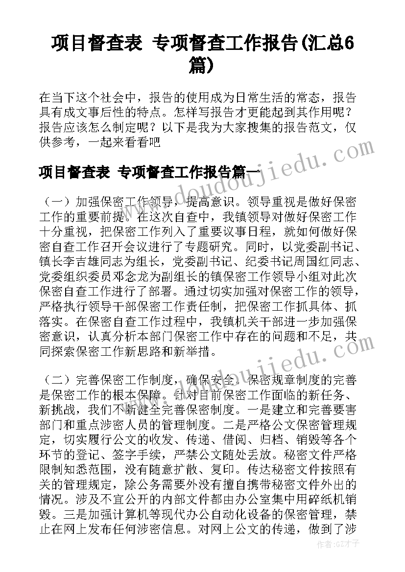 项目督查表 专项督查工作报告(汇总6篇)