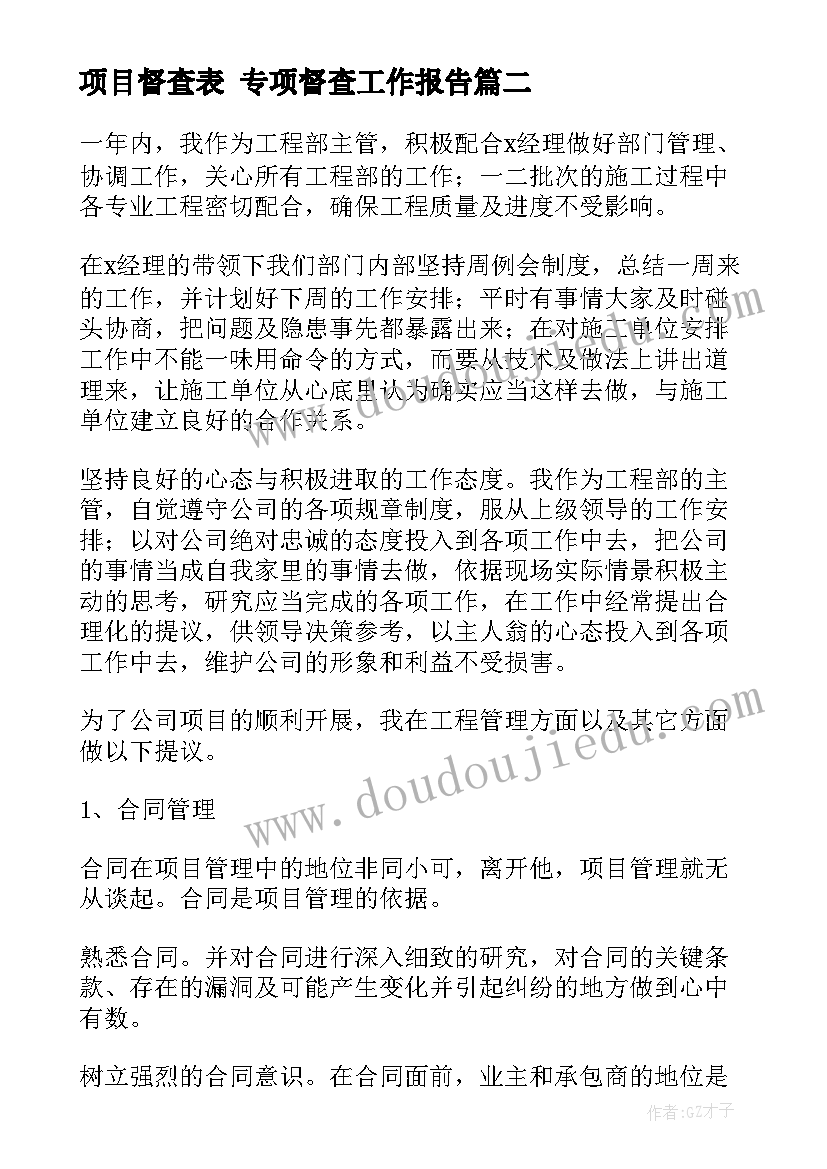 项目督查表 专项督查工作报告(汇总6篇)