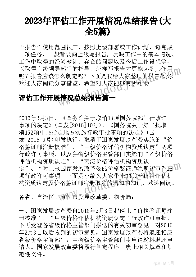 2023年评估工作开展情况总结报告(大全5篇)