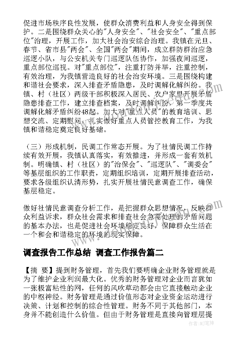 2023年调查报告工作总结 调查工作报告(精选10篇)