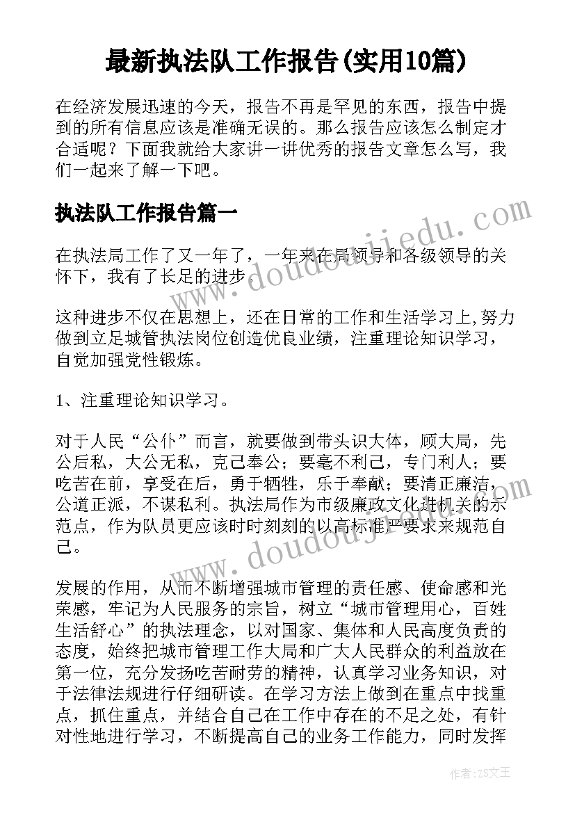 最新执法队工作报告(实用10篇)