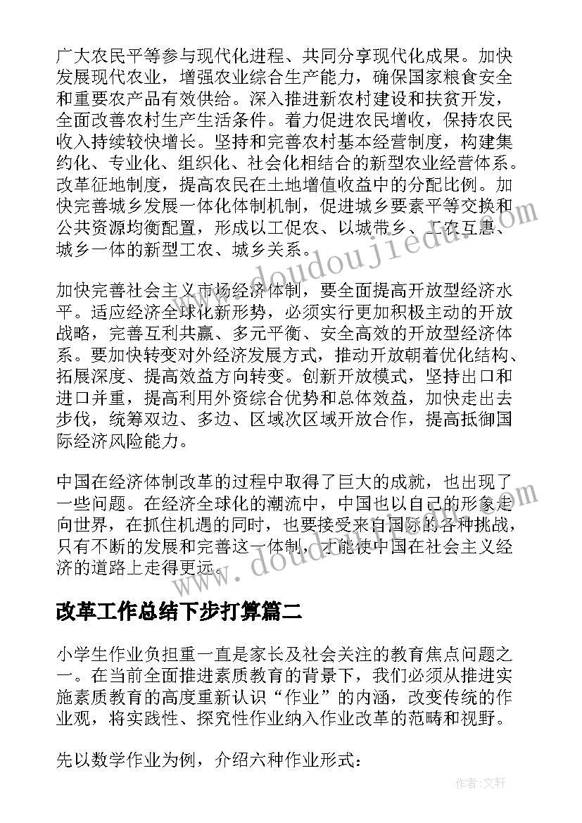 2023年改革工作总结下步打算(实用5篇)