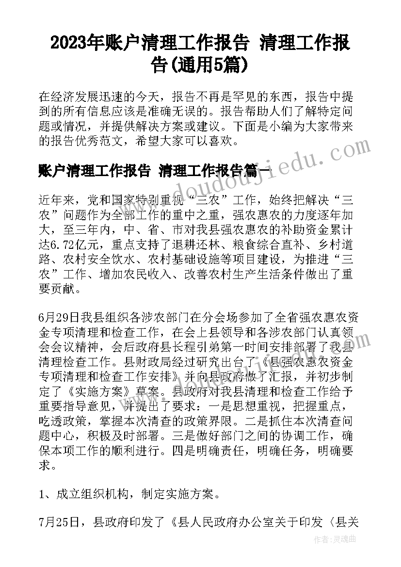 2023年账户清理工作报告 清理工作报告(通用5篇)