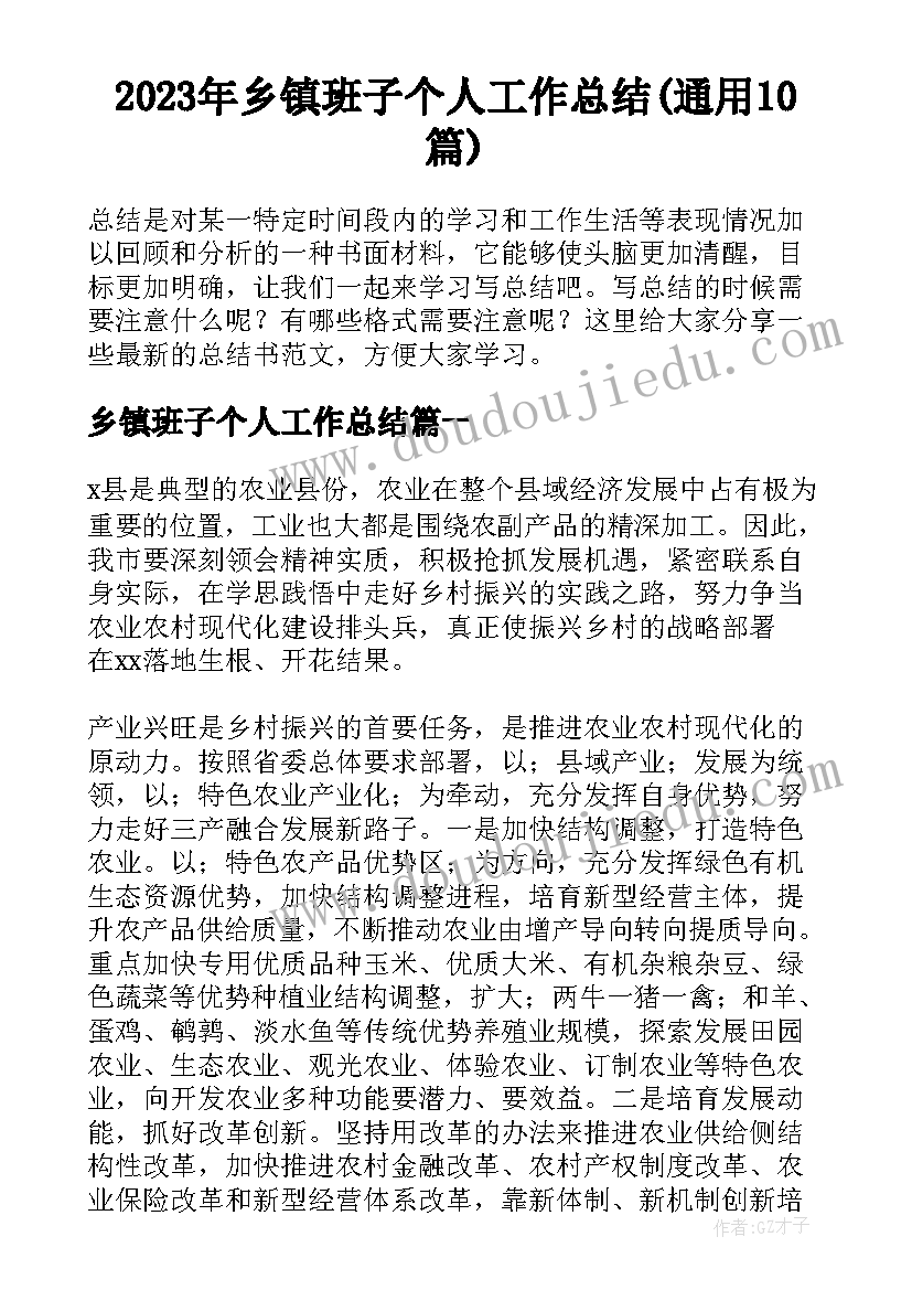 2023年乡镇班子个人工作总结(通用10篇)