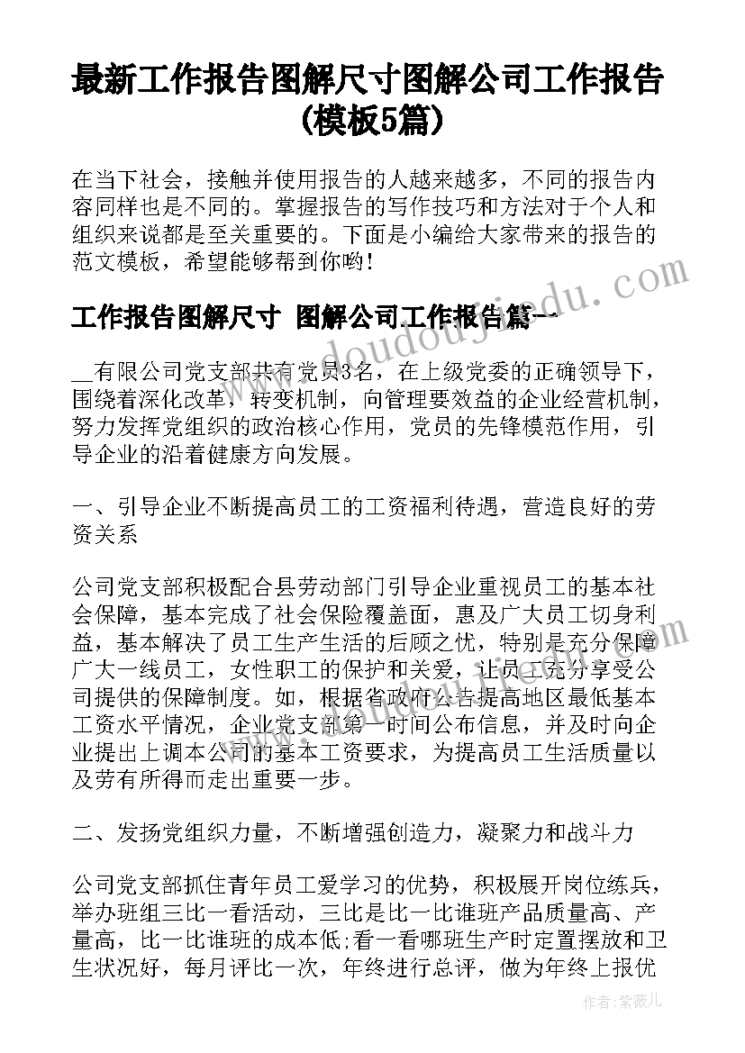 最新工作报告图解尺寸 图解公司工作报告(模板5篇)