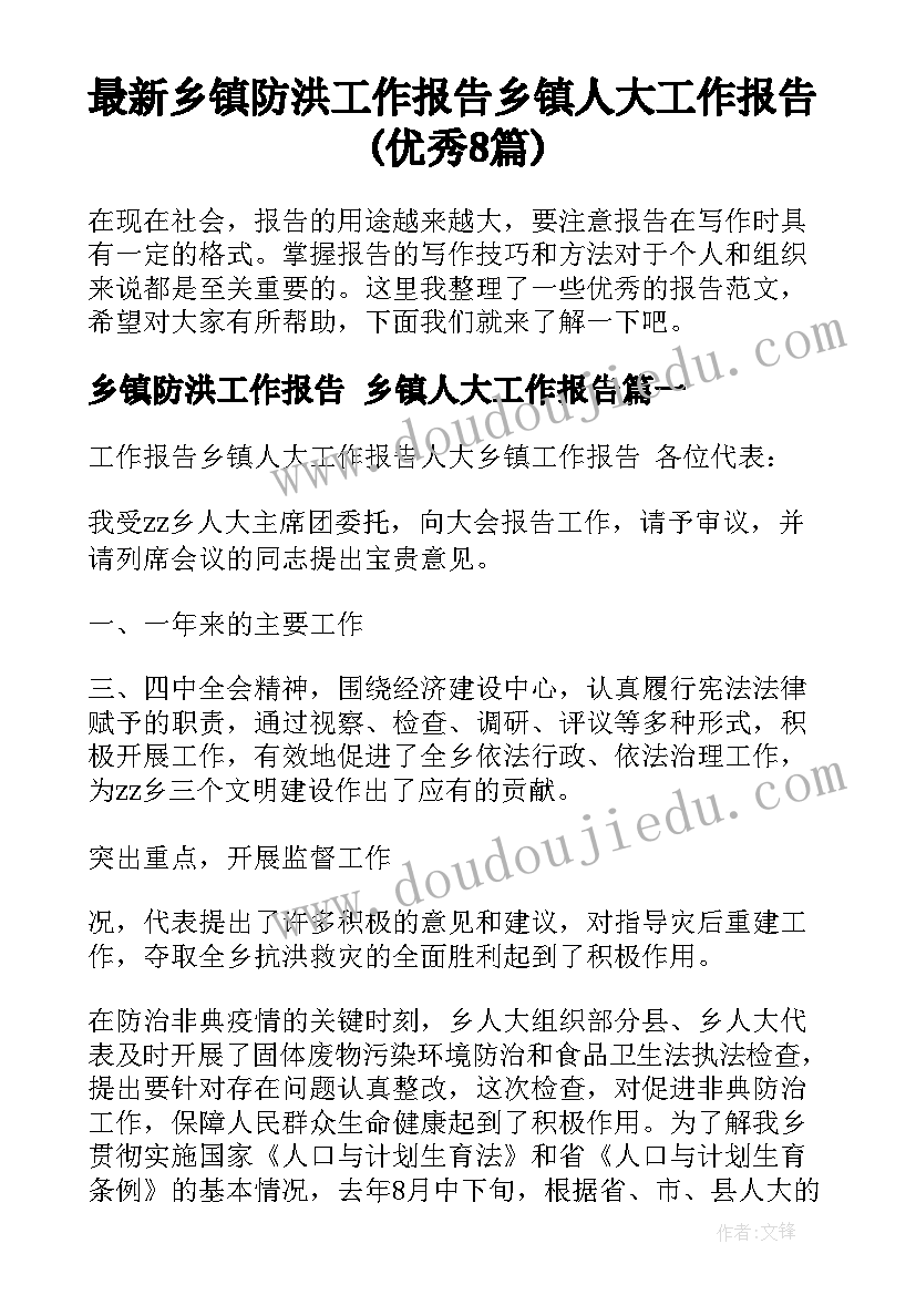 最新乡镇防洪工作报告 乡镇人大工作报告(优秀8篇)