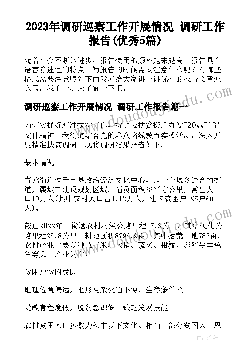 2023年调研巡察工作开展情况 调研工作报告(优秀5篇)